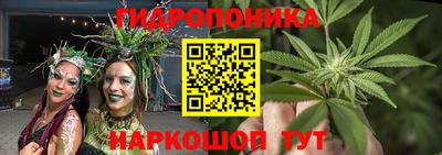 сатива Анапа
