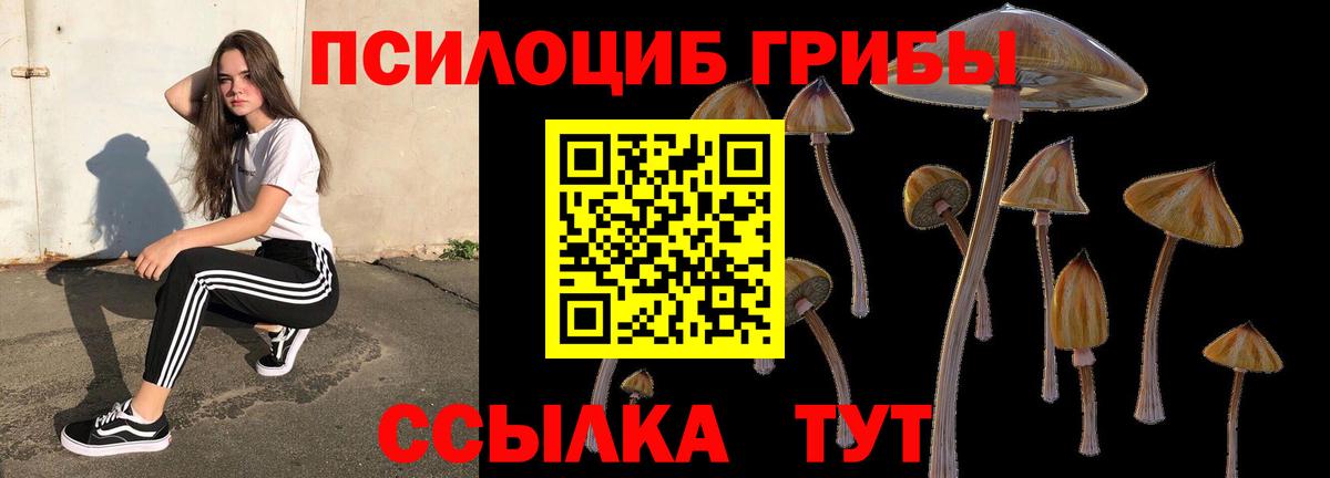 Галлюциногенные грибы Cubensis  Вход с VPN  Бердск 