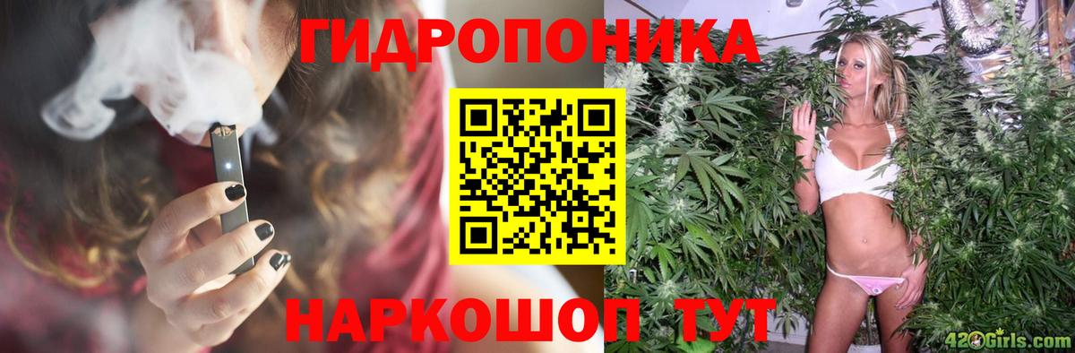 Бошки Шишки ГИДРОПОН Бердск